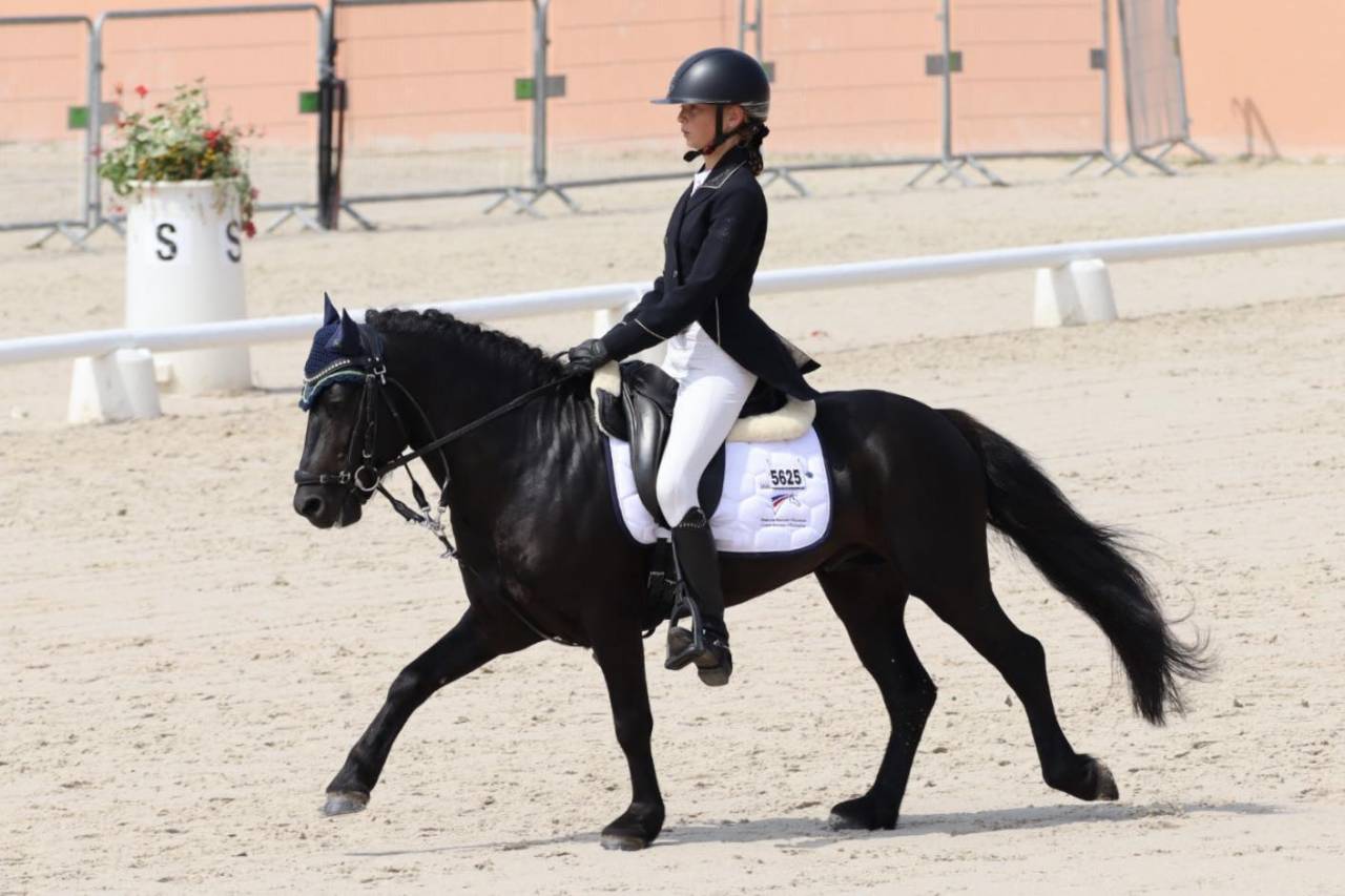 Green Bell Pepper d'Ash - Dartmoor 2016 ,  moortown storm