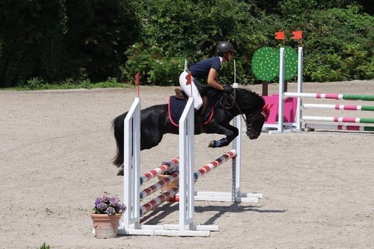 Green Bell Pepper d'Ash - Dartmoor 2016 ,  moortown storm