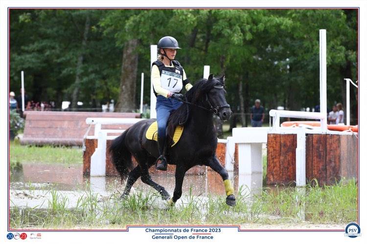 Green Bell Pepper d'Ash - Dartmoor 2016 ,  moortown storm