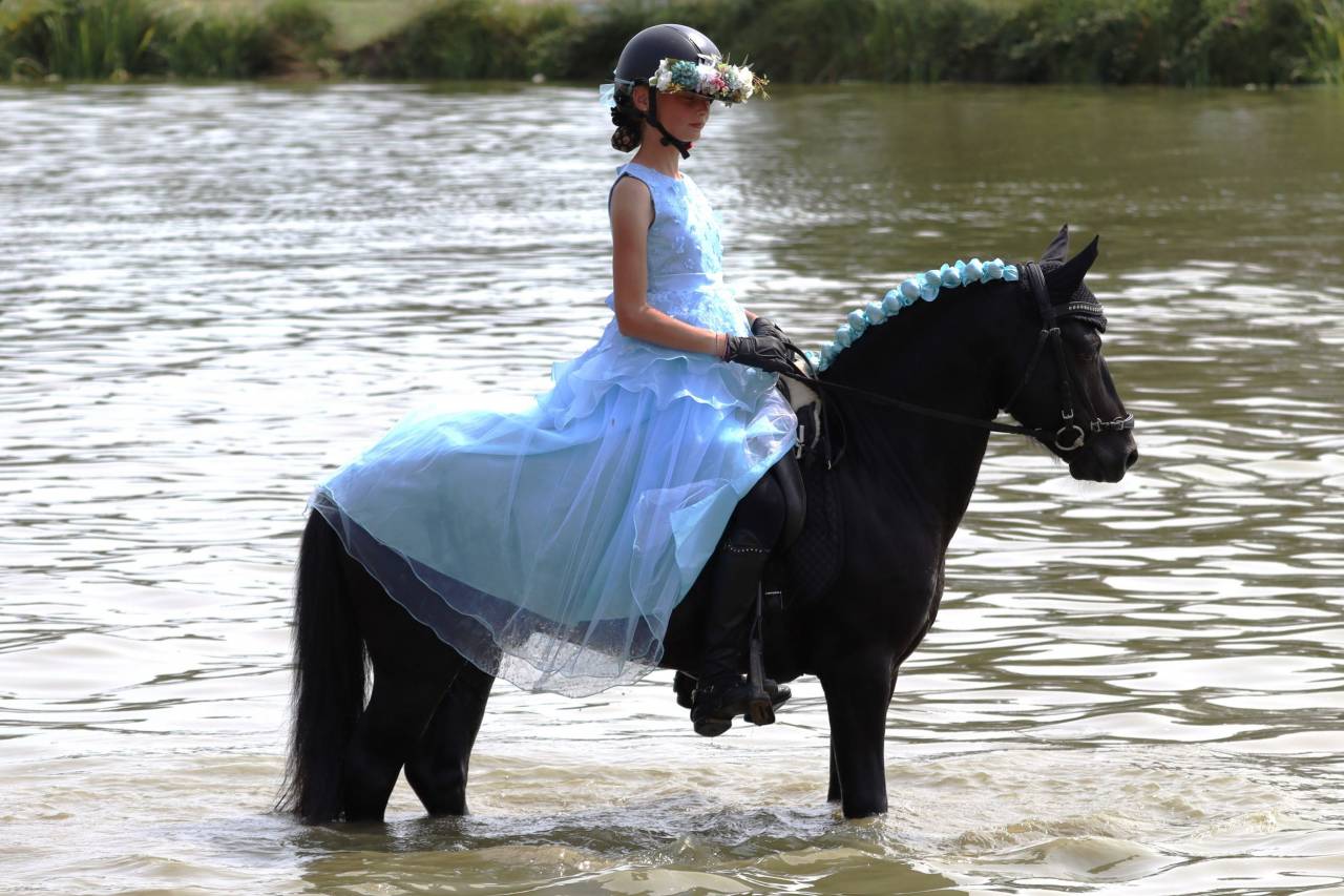 Green Bell Pepper d'Ash - Dartmoor 2016 ,  moortown storm