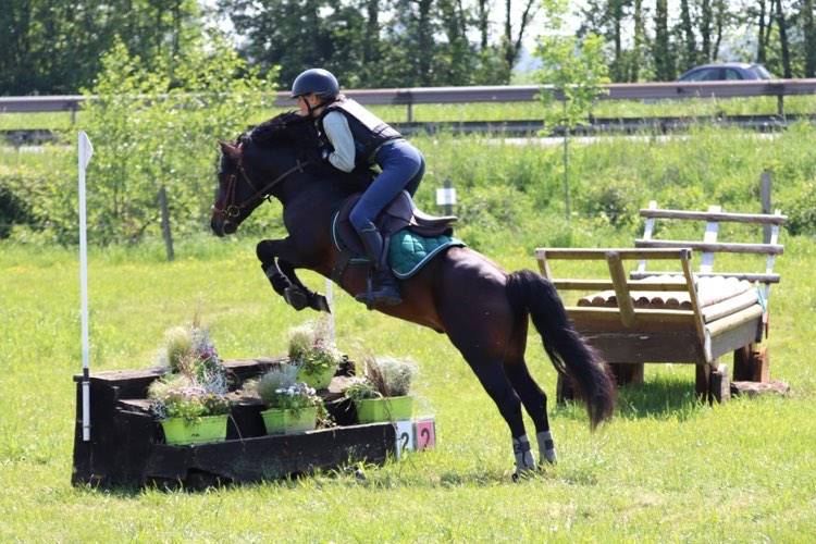 Trewassick Warleggan - Dartmoor 2017 ,  SHILSTONE ROCKS WARLORD