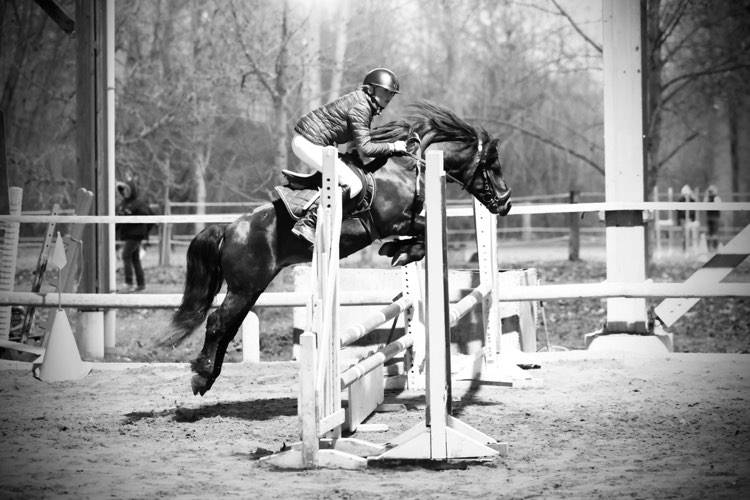 Trewassick Warleggan - Dartmoor 2017 ,  SHILSTONE ROCKS WARLORD