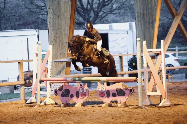 Trewassick Warleggan - Dartmoor 2017 ,  SHILSTONE ROCKS WARLORD