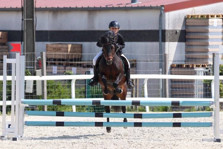 Trewassick Warleggan - Dartmoor 2017 ,  SHILSTONE ROCKS WARLORD
