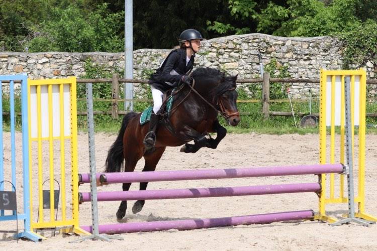 Trewassick Warleggan - Dartmoor 2017 ,  SHILSTONE ROCKS WARLORD