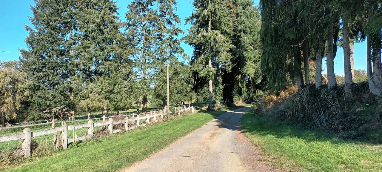 Proprietà equestre In vendita Orne