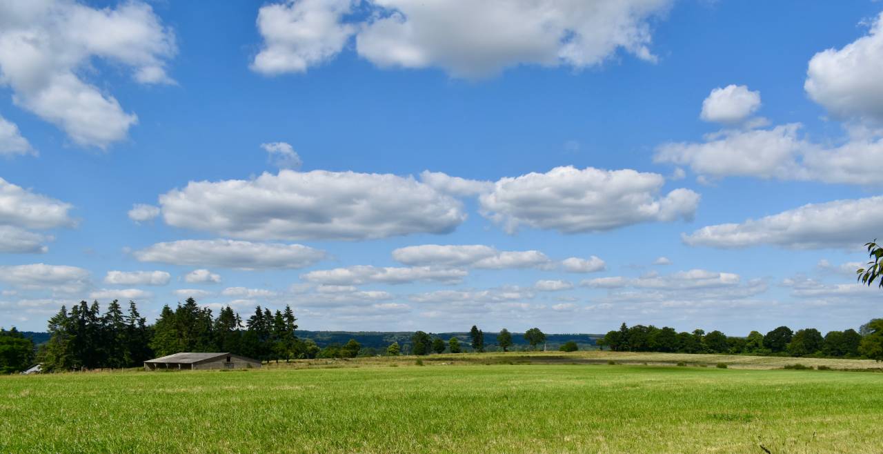 Proprietà equestre In vendita Orne