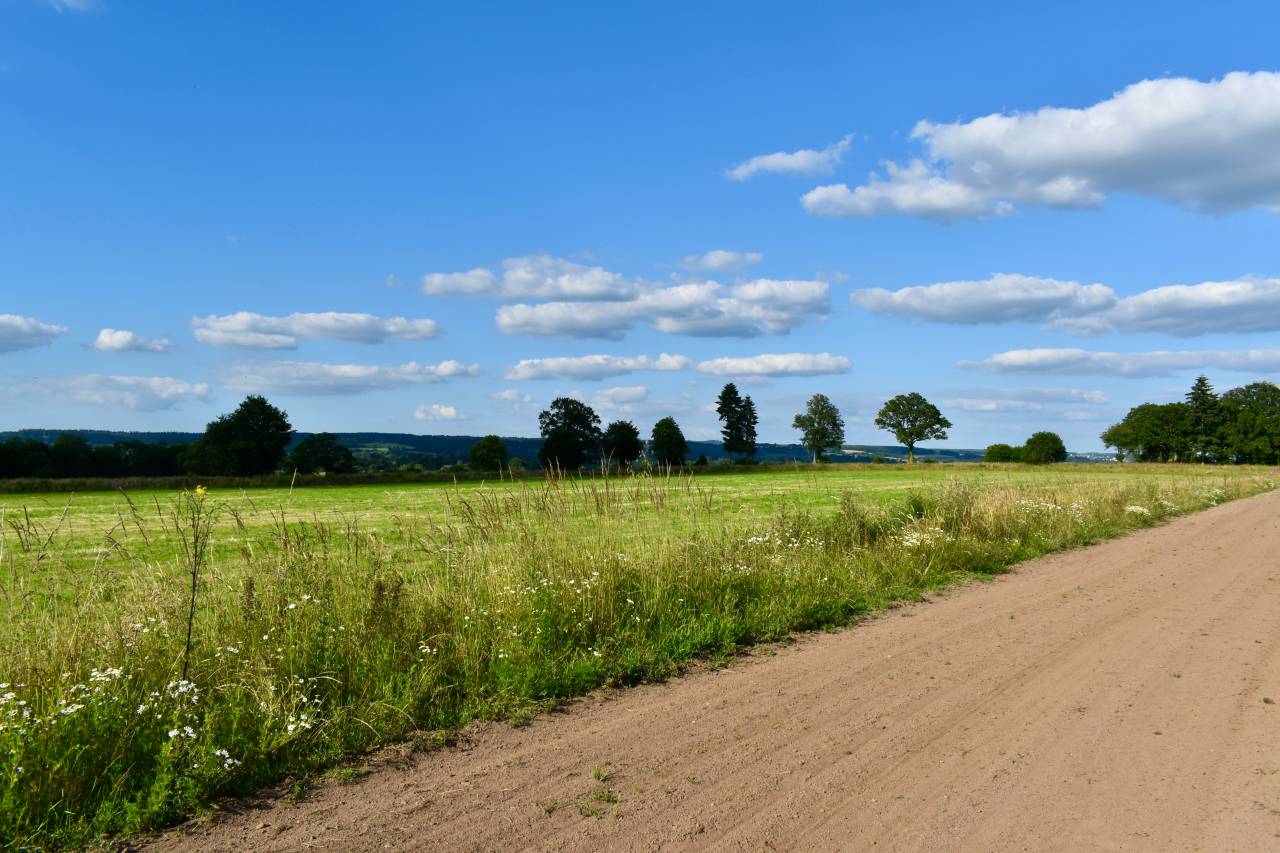 Proprietà equestre In vendita Orne