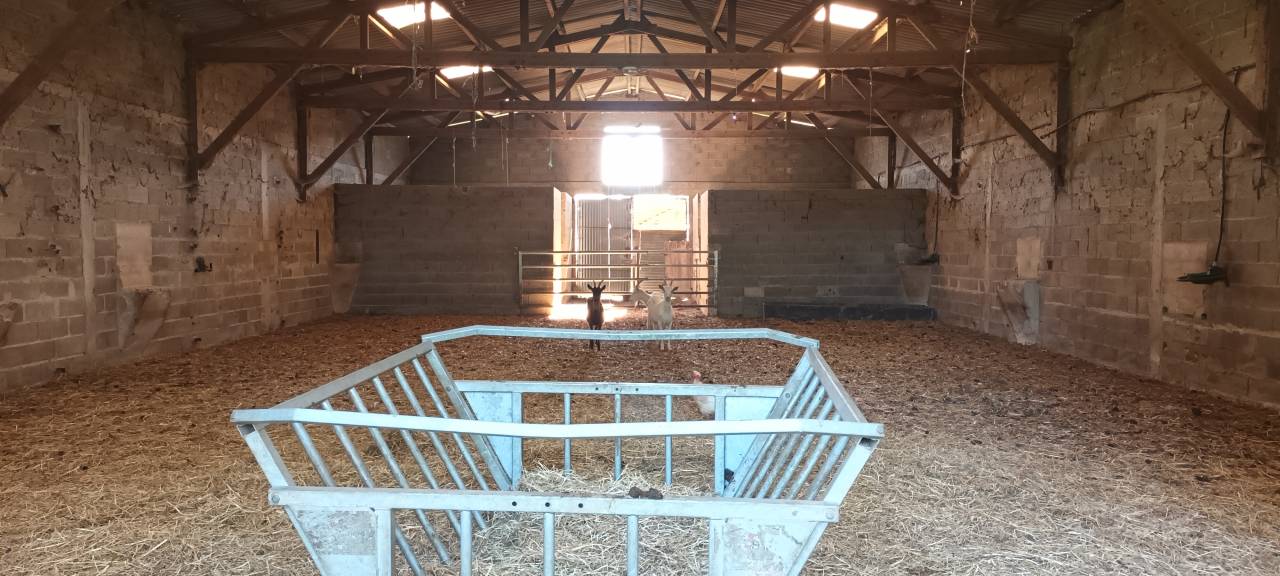 Proprietà equestre In vendita Orne