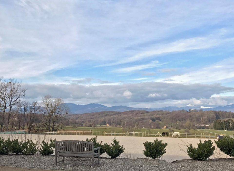 Scuderia per proprietari In vendita Haut-Rhin