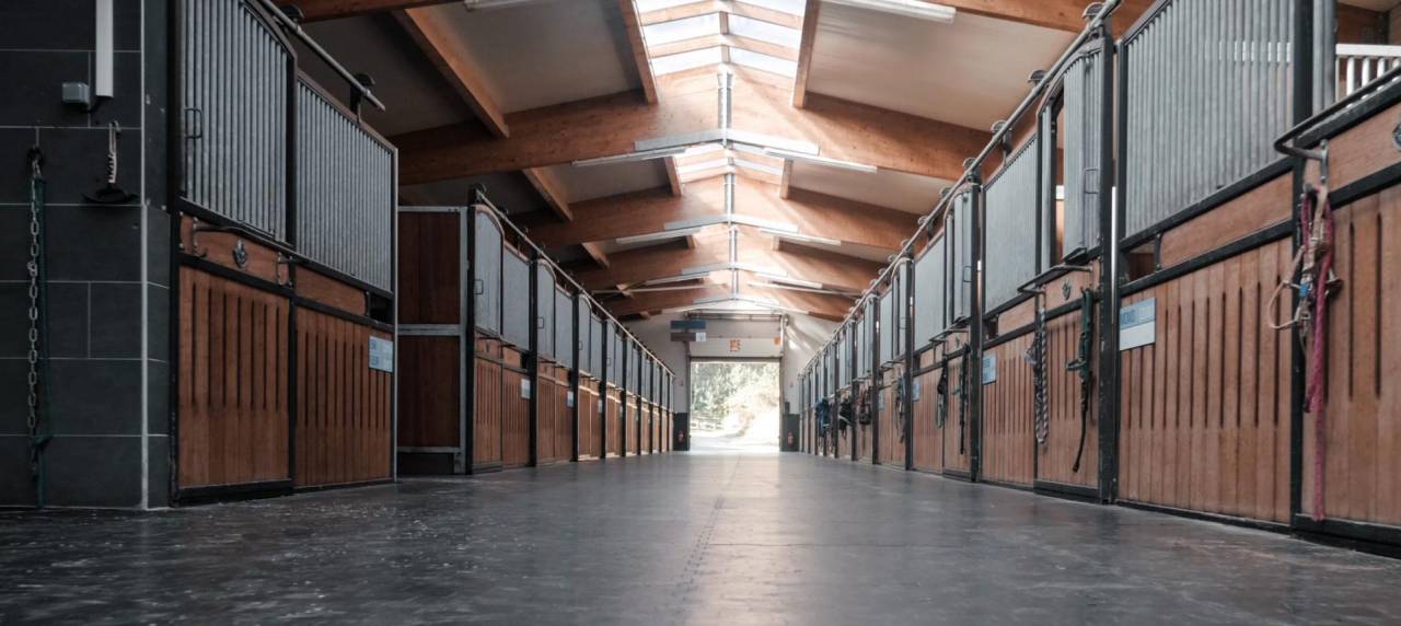 Scuderia per proprietari In vendita Haut-Rhin