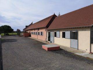 Centro di stagione cavallo In vendita 