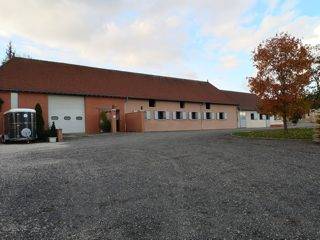 Centro di stagione cavallo In vendita 