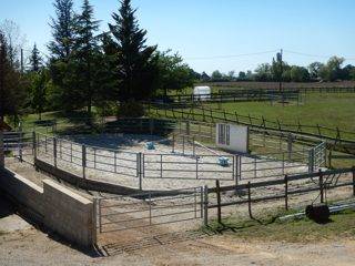 Centro di stagione cavallo In vendita 
