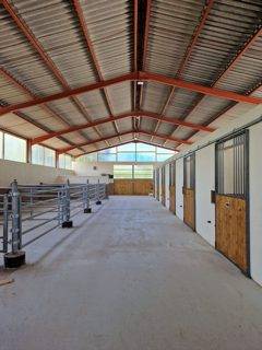 Centro di stagione cavallo In vendita 