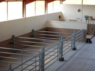 Centro di stagione cavallo In vendita 