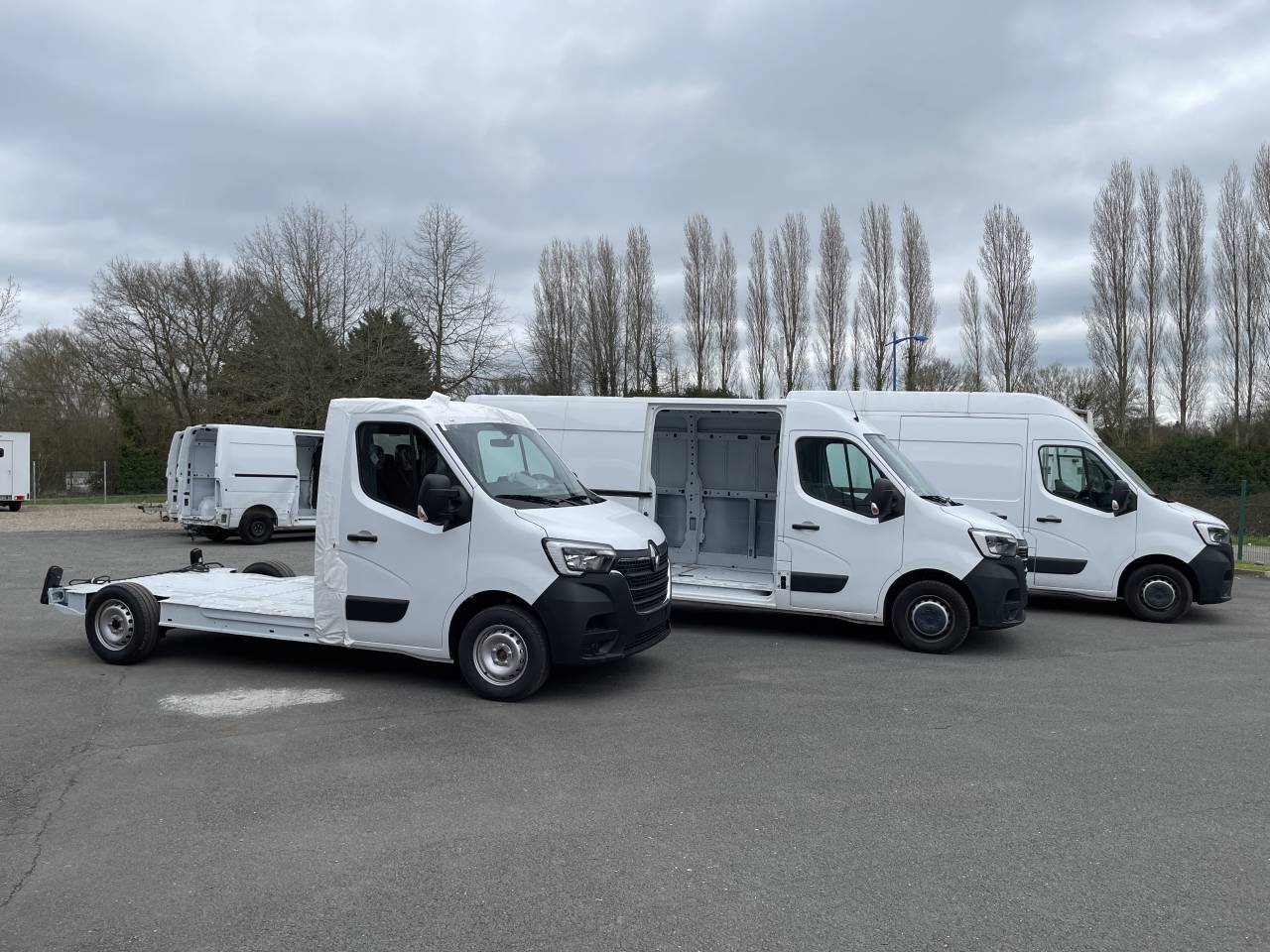 Van per Cavalli AP Petit  2023 Nuovo