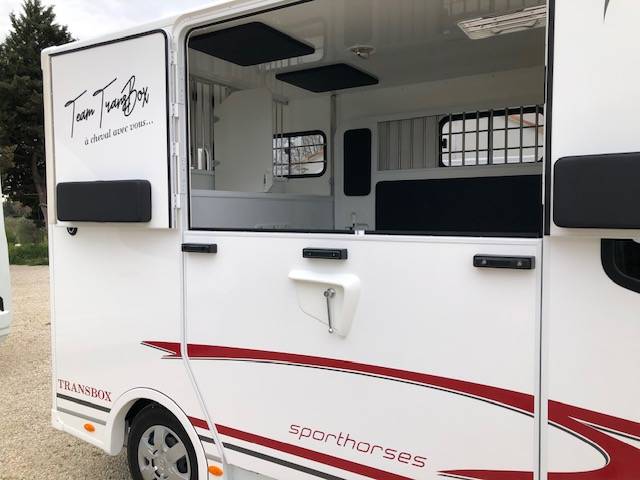 Van per Cavalli Trans Box New Svelto4 R  2024 Nuovo