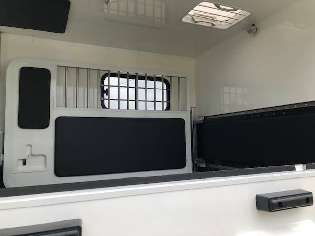 Van per Cavalli Trans Box New Svelto4 R  2024 Nuovo