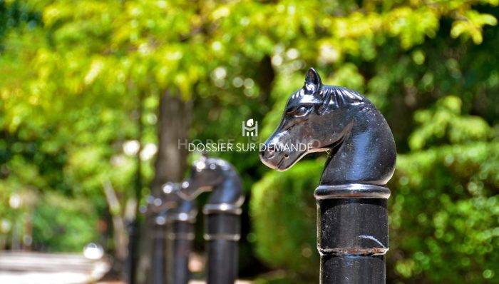 Centro di stagione cavallo In vendita Seine-et-Marne
