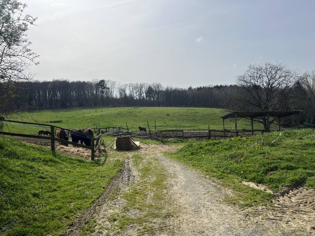 Scuderia per proprietari In vendita Corr&egrave;ze