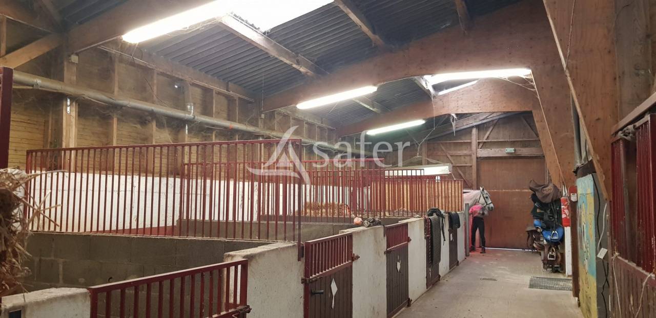 Proprietà equestre In vendita Haute-Loire