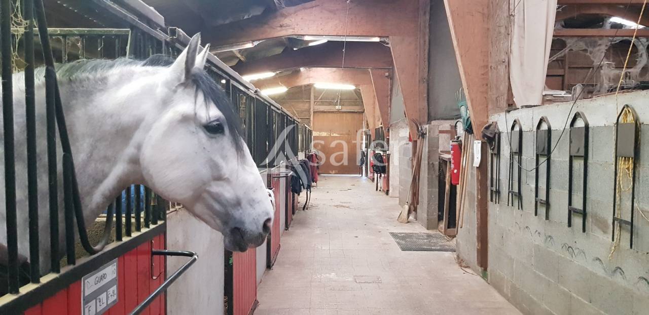Proprietà equestre In vendita Haute-Loire