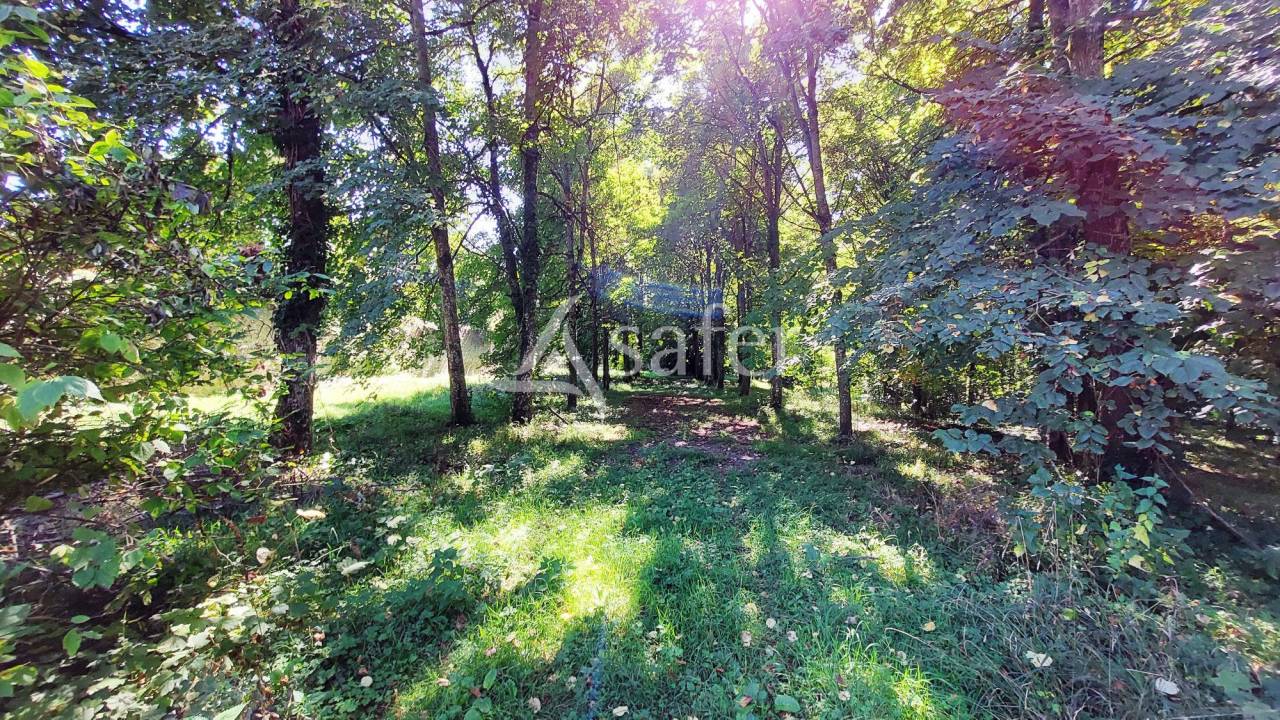 Proprietà equestre In vendita Seine-et-Marne