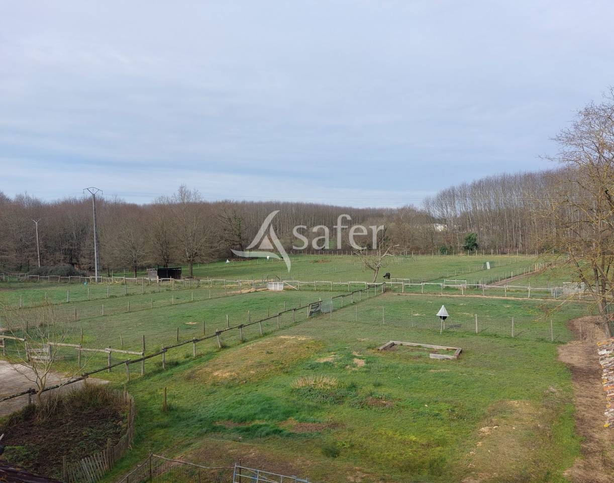 Azienda ovina In vendita Dordogne