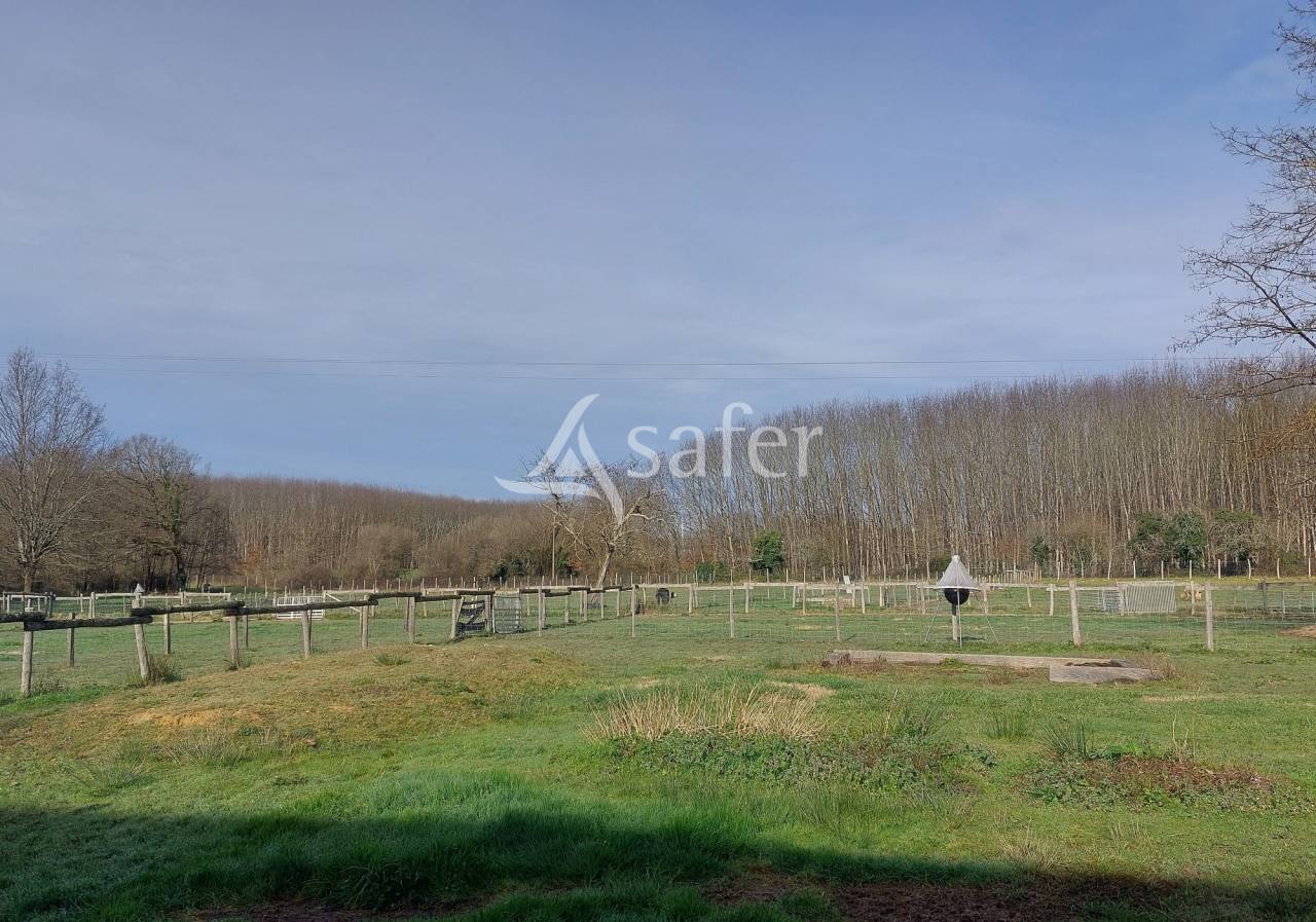 Azienda ovina In vendita Dordogne