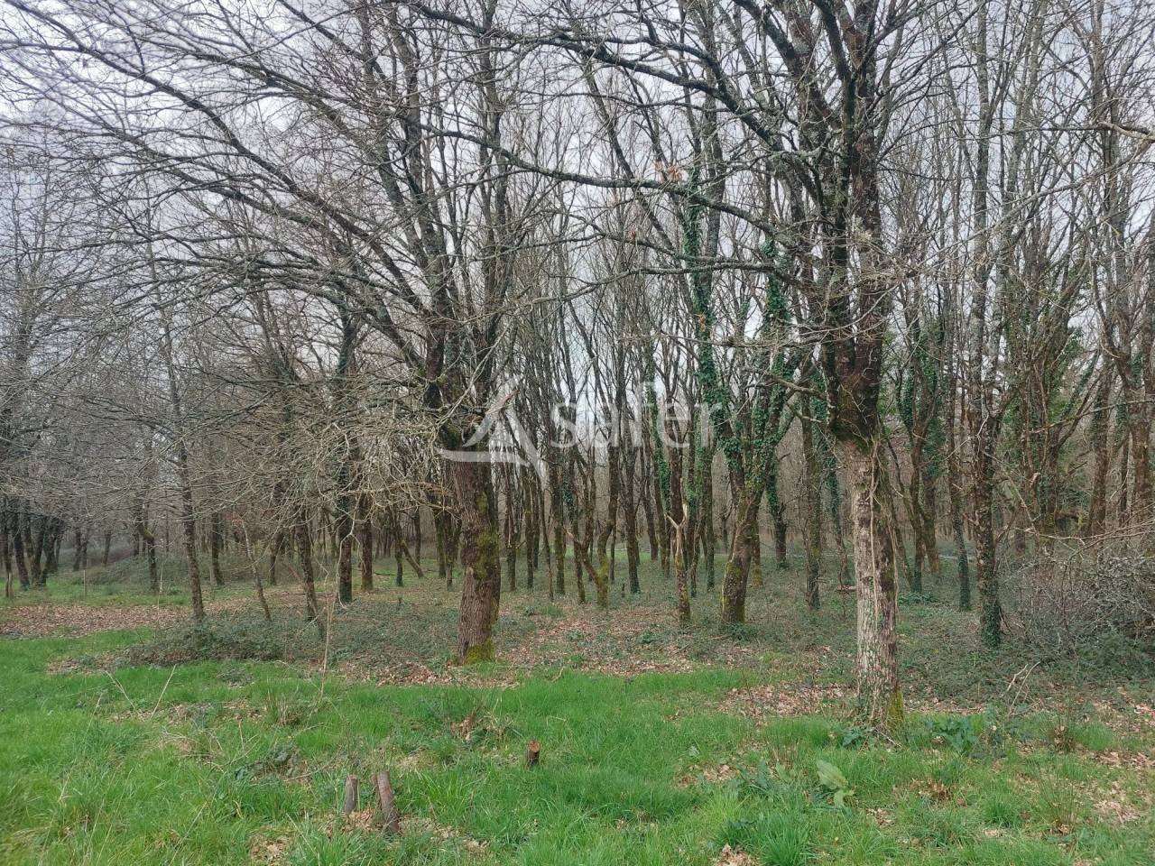 Azienda ovina In vendita Dordogne