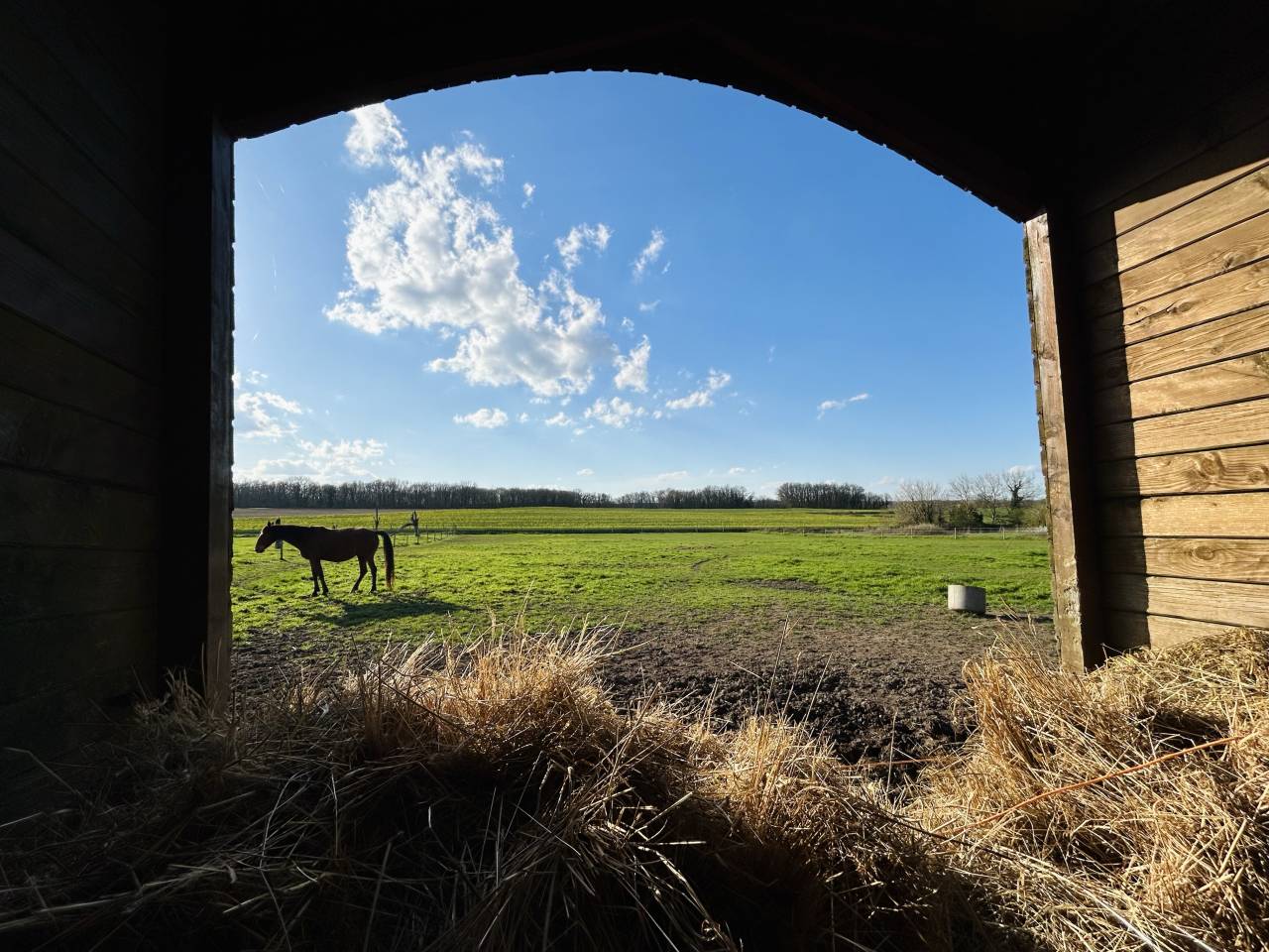 Propriet&agrave; rurale In vendita Vienne