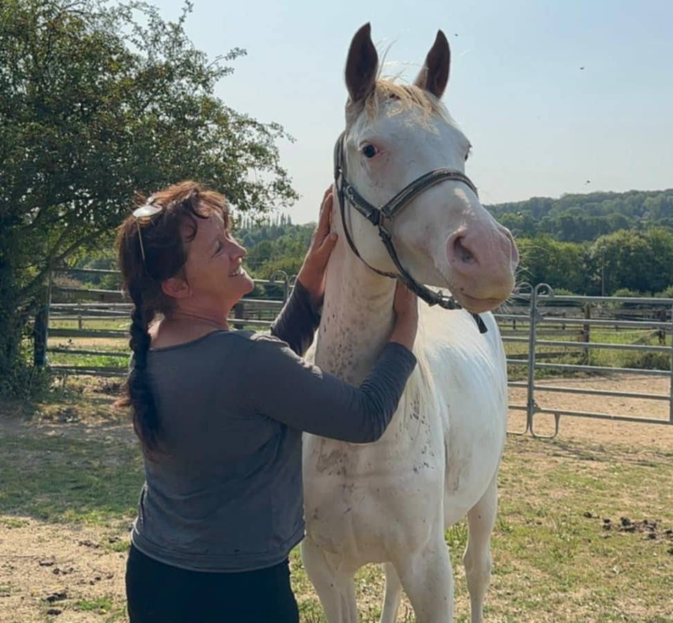Puledro Anglo-Arabo In vendita 2023 Altro colore ,  PETRUS DE LAFON