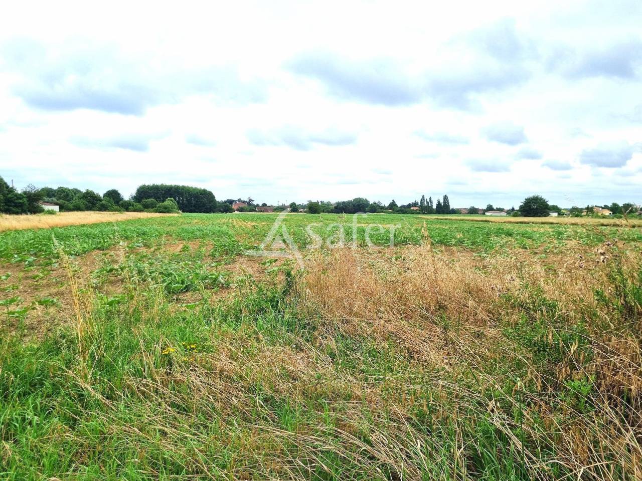 Proprietà rurale In vendita Tarn-et-Garonne
