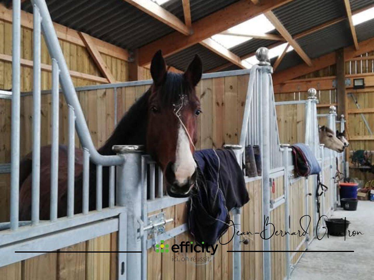 Scuderia per proprietari In vendita Ile-et-Vilaine