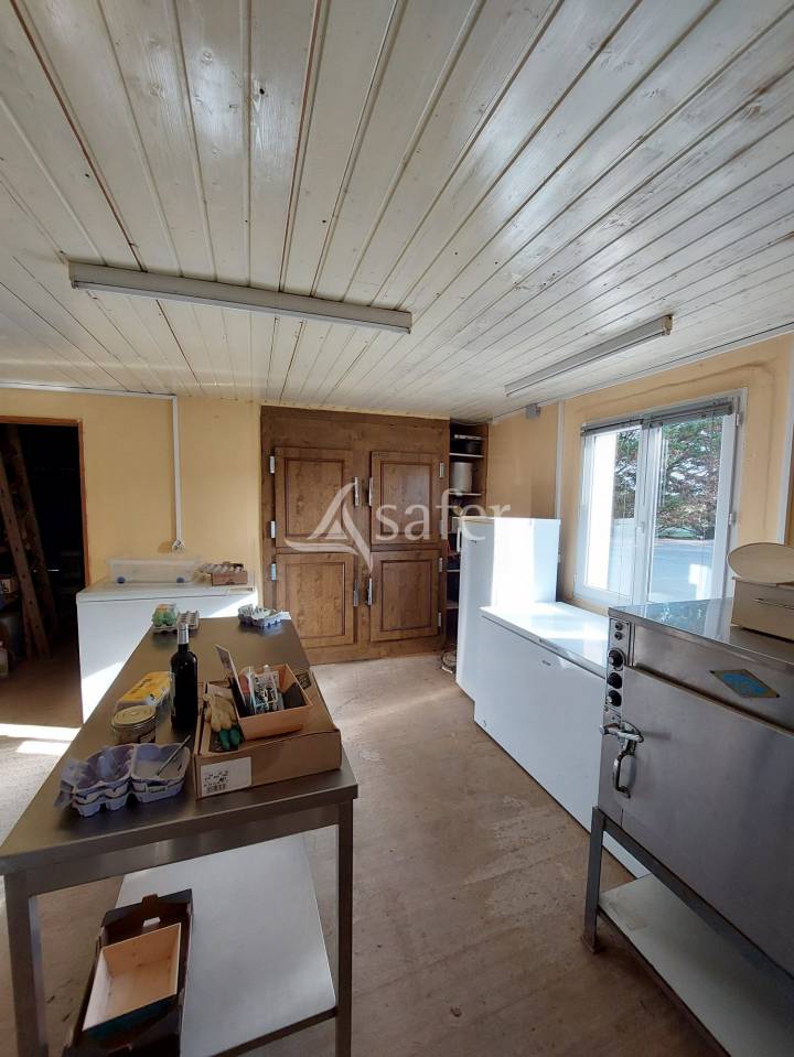 Azienda orticoltrice In vendita Charente-Maritime