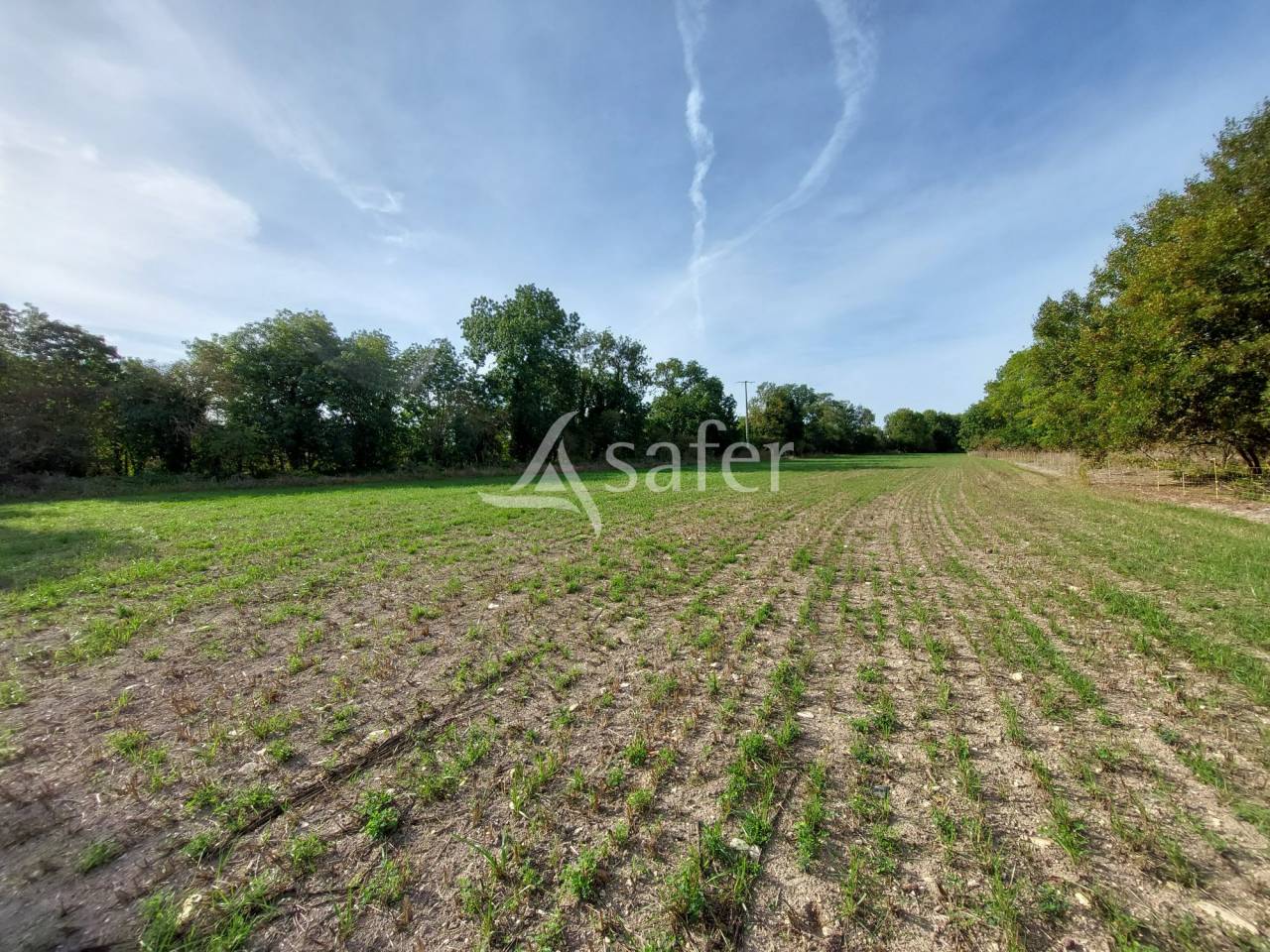 Azienda orticoltrice In vendita Charente-Maritime