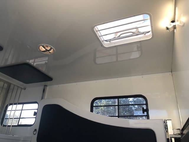 Van per Cavalli Trans Box Svelto 4 2020 Occasione