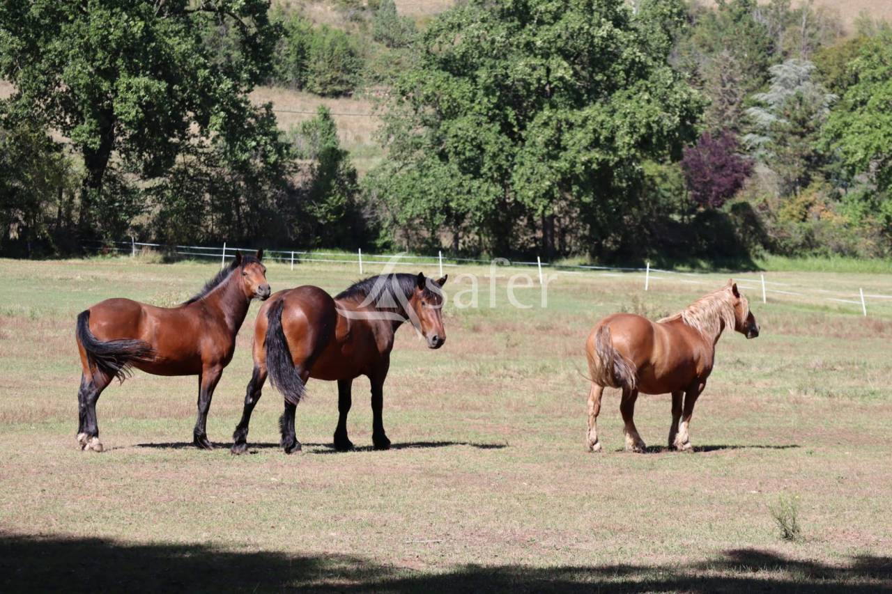 Proprietà rurale In vendita Puy-de-Dôme