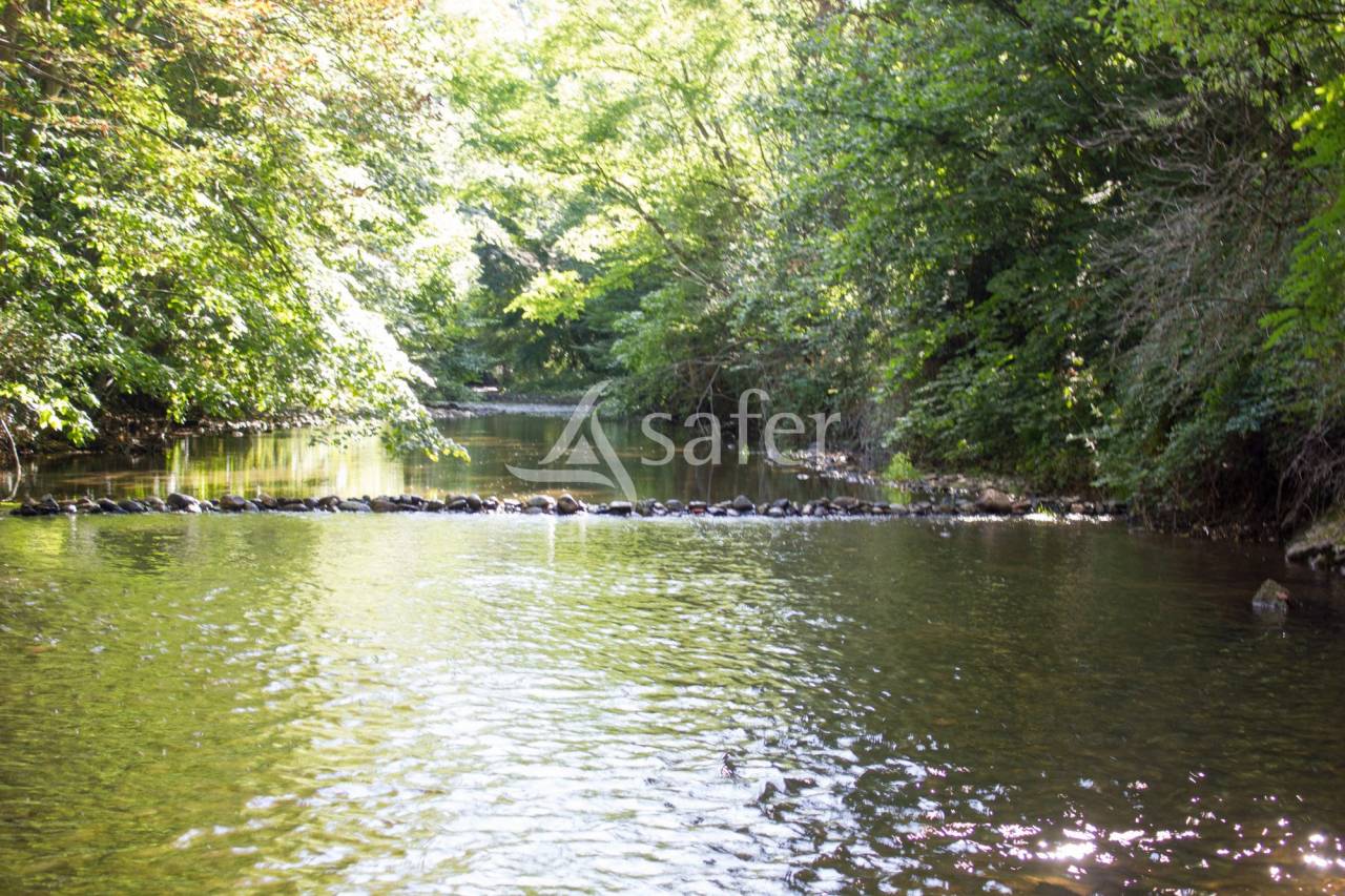 Proprietà rurale In vendita Puy-de-Dôme