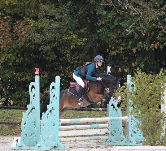 Castrone PFS Pony Francese da Sella In vendita 2019 Baio ,  ugo des clas