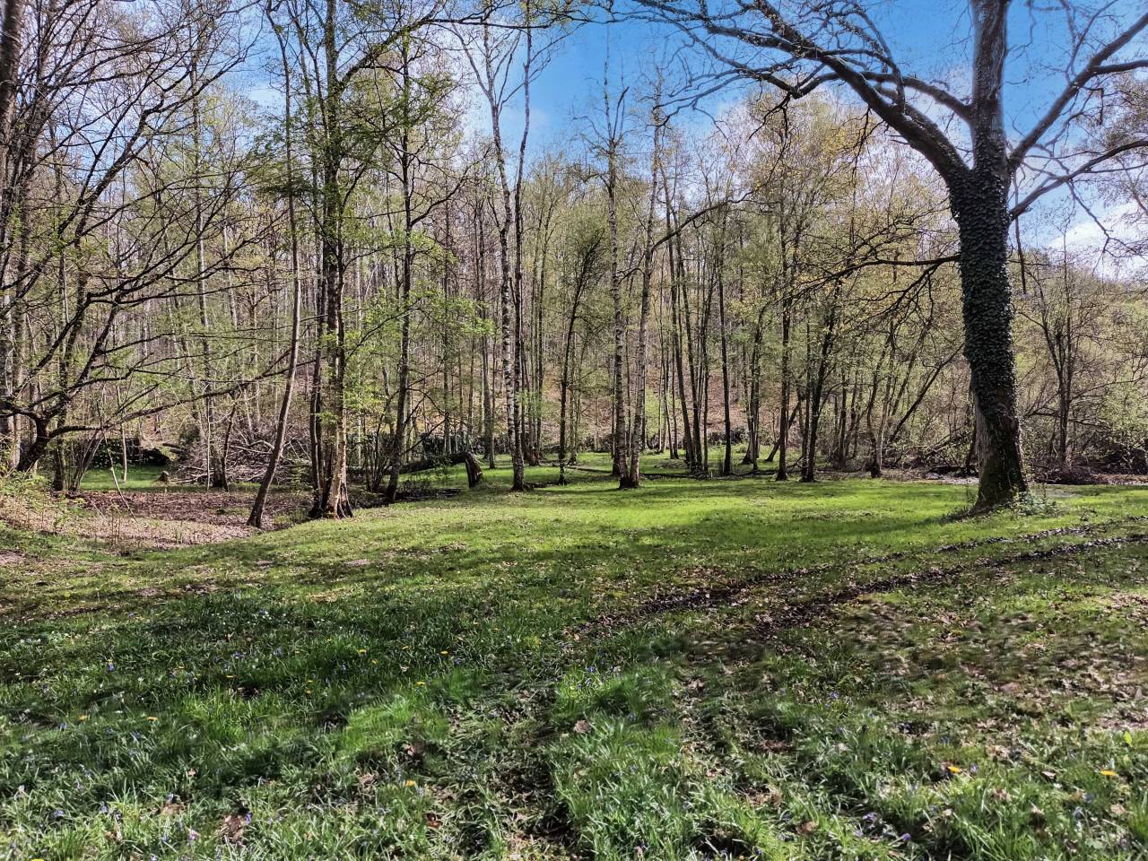 Bella dimora equestre In vendita Yvelines