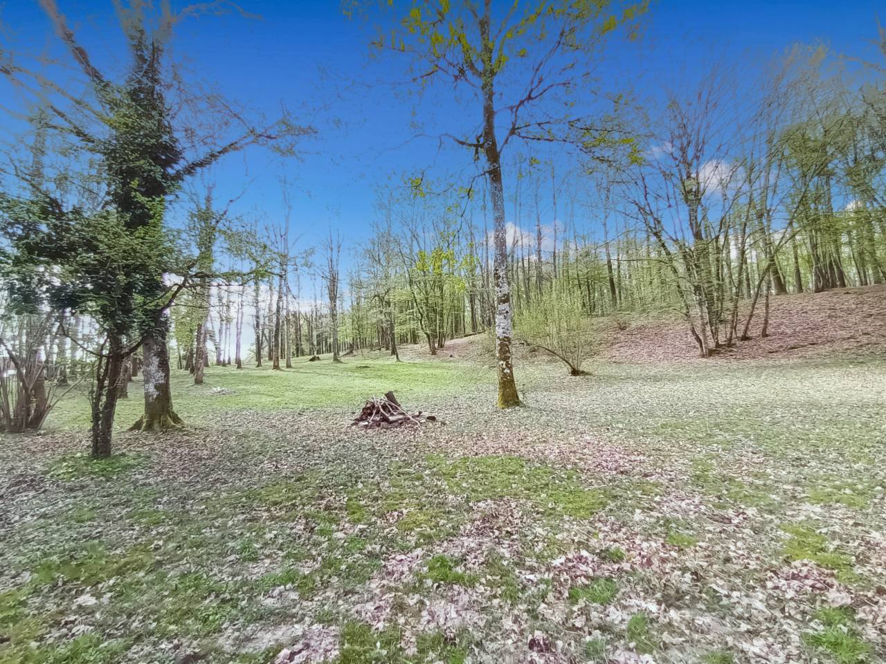 Bella dimora equestre In vendita Yvelines