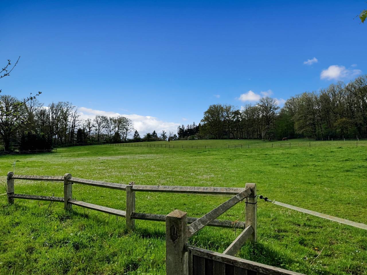 Bella dimora equestre In vendita Yvelines