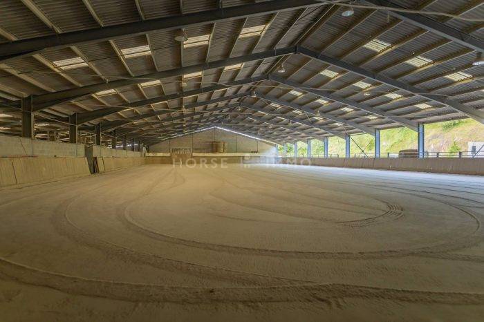 Proprietà equestre In vendita Loire