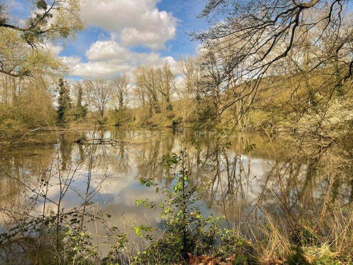 Proprietà equestre In vendita Orne