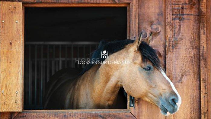 Centro di stagione cavallo In vendita Essonne