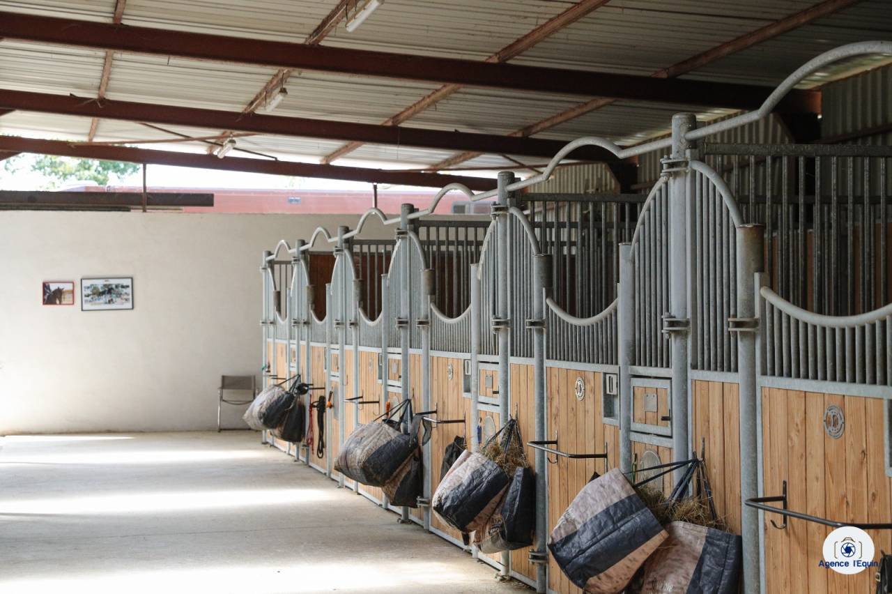 Les Ecuries de Marenoire 