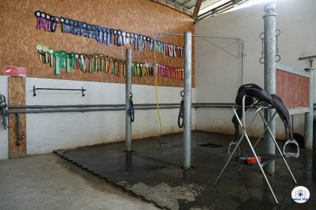 Les Ecuries de Marenoire 