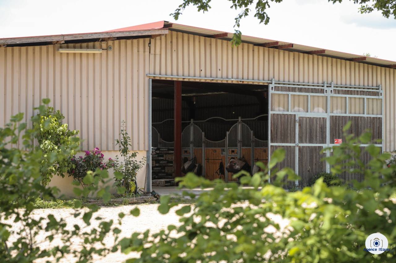 Les Ecuries de Marenoire 